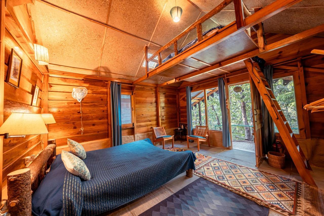 Mountain Quail Lodge Nainital Esterno foto